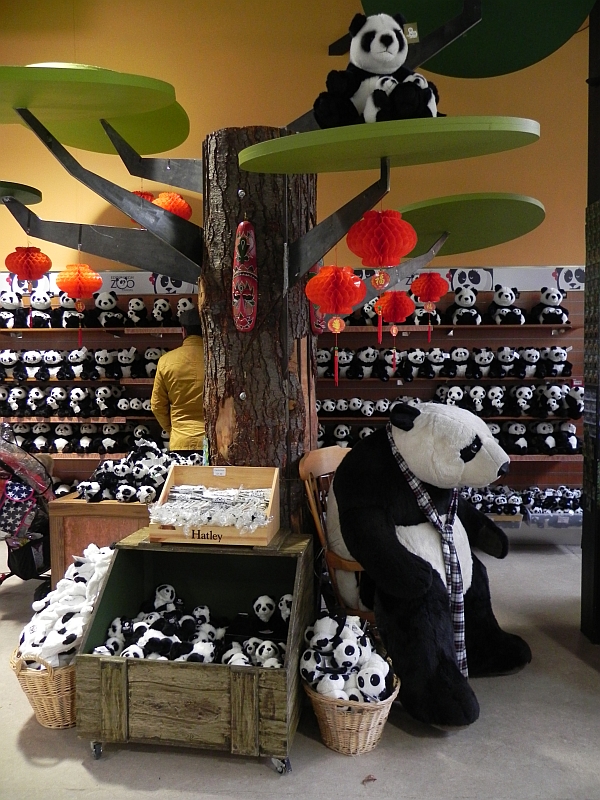 Pandamania in Edinburgh